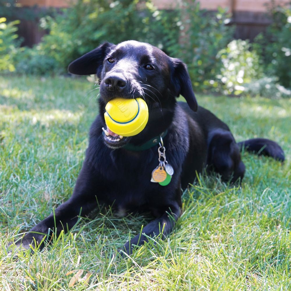 Balle Squeezz® Tennis KONG