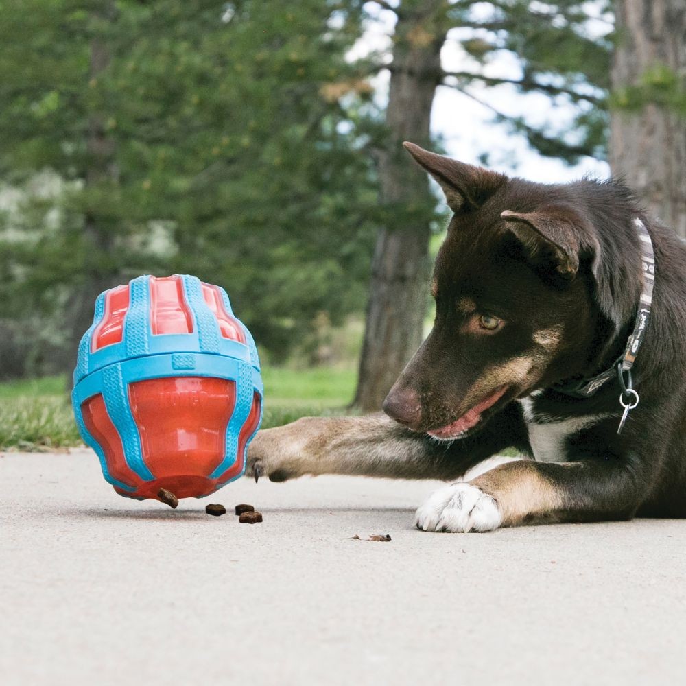 Jouet distributeur Treat Spinner KONG