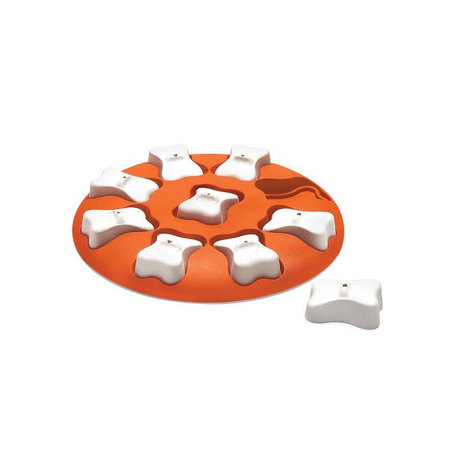 Dog Smart Orange