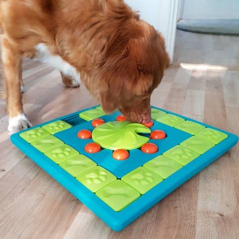 Jouet distributeur Dog MultiPuzzle