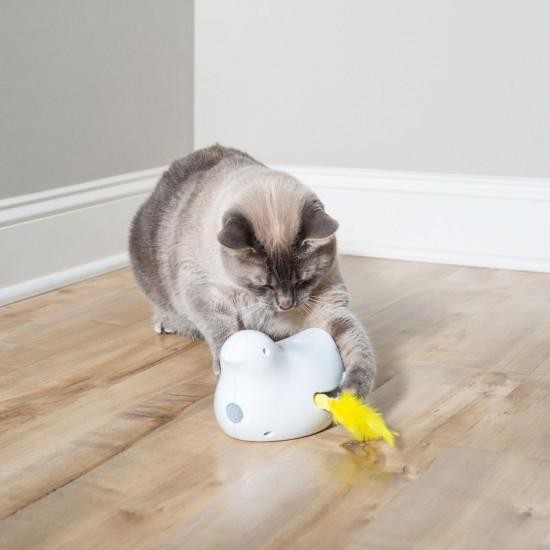 Jouet électronique Peek-A-Bird