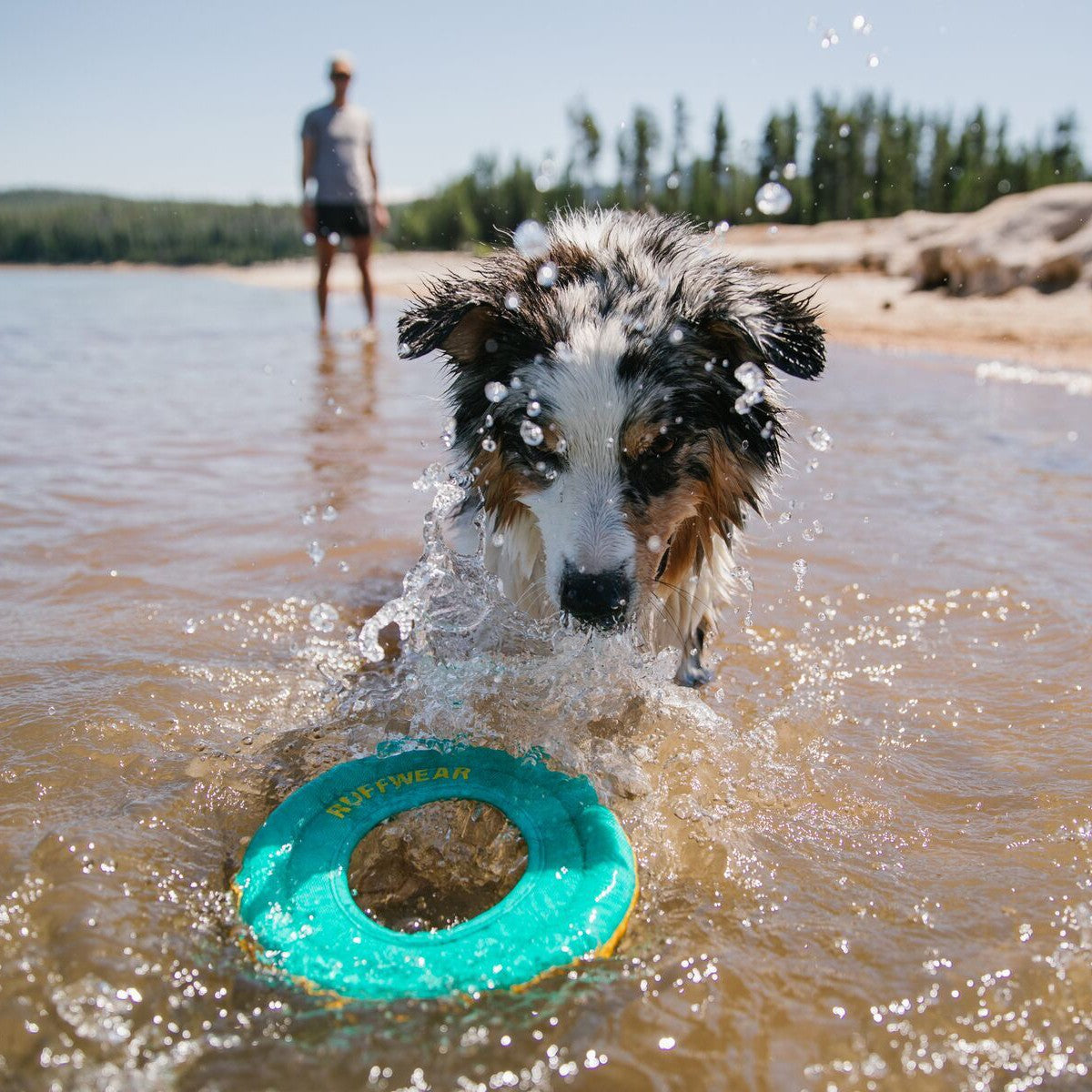 Frisbee Hydro Plane™