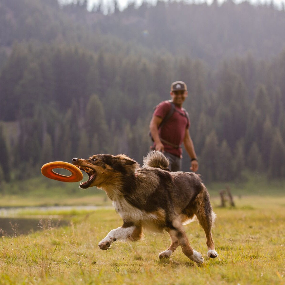 Frisbee Hydro Plane™