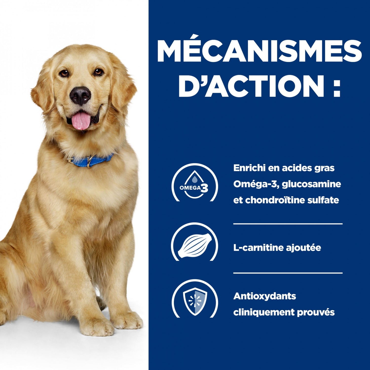 HILL’S Prescription Diet j/d Mobility en Boîtes au Poulet – Pâtée pour chien