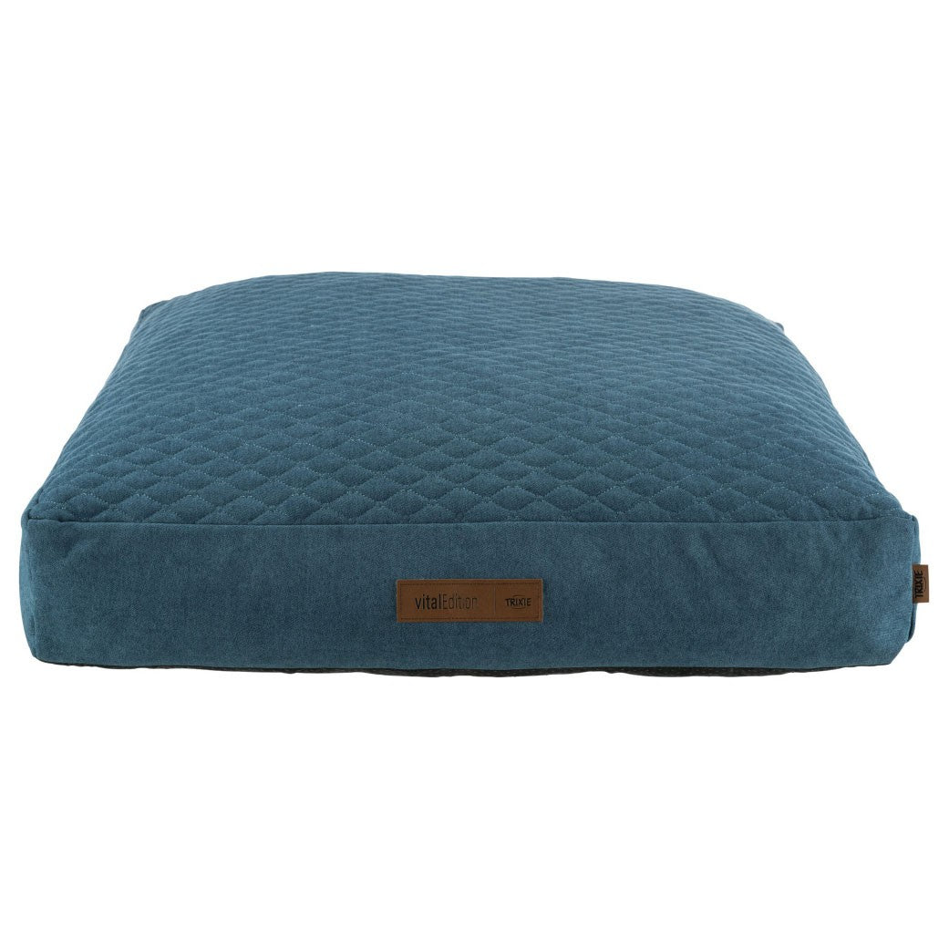 Coussin à mémoire de forme Tonio