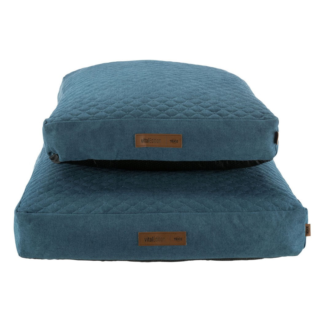 Coussin à mémoire de forme Tonio