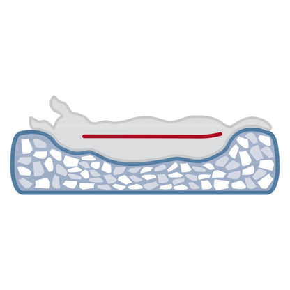 Abri Vital Noah