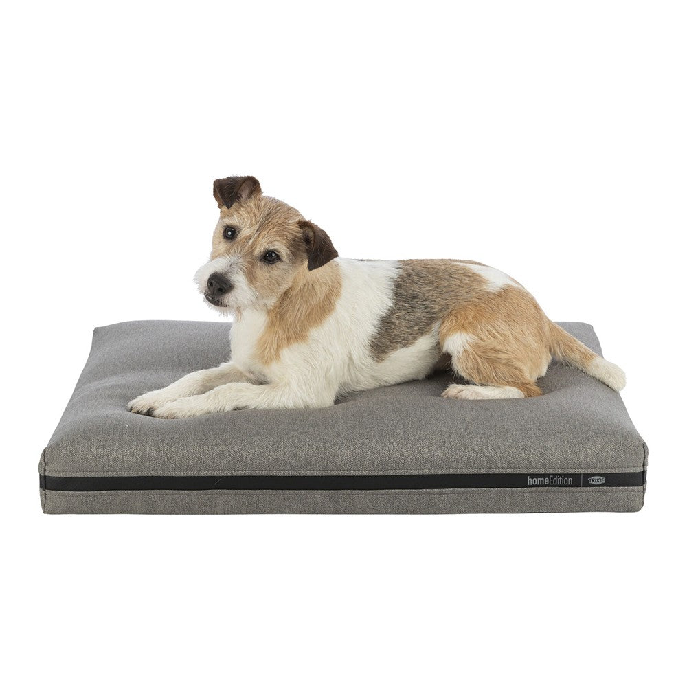 Coussin CityStyle