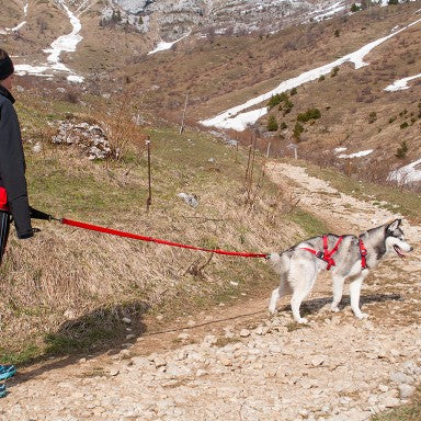 Harnais Confort Trek