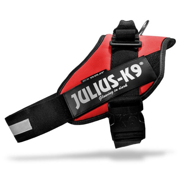 Harnais IDC Power Rouge