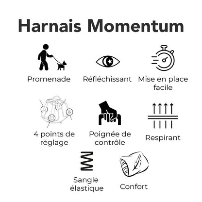 Harnais Momentum Noir