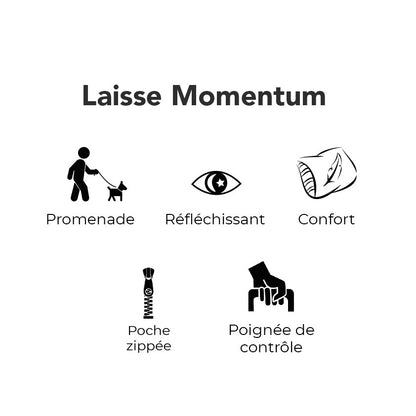 Laisse Momentum pour chien