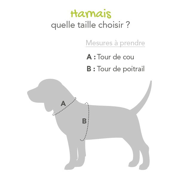 Harnais Momentum Cuivre