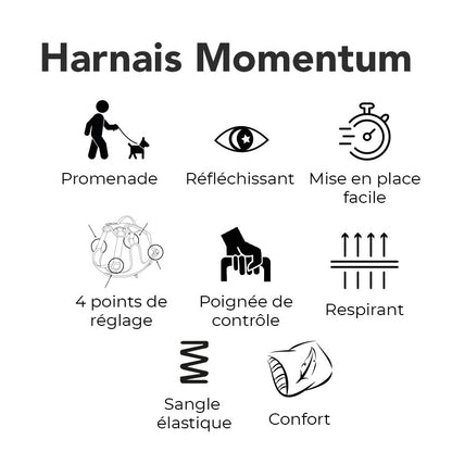 Harnais Momentum Cuivre