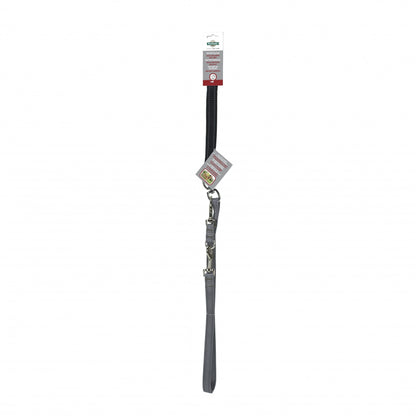 Laisse anti-traction Easywalk