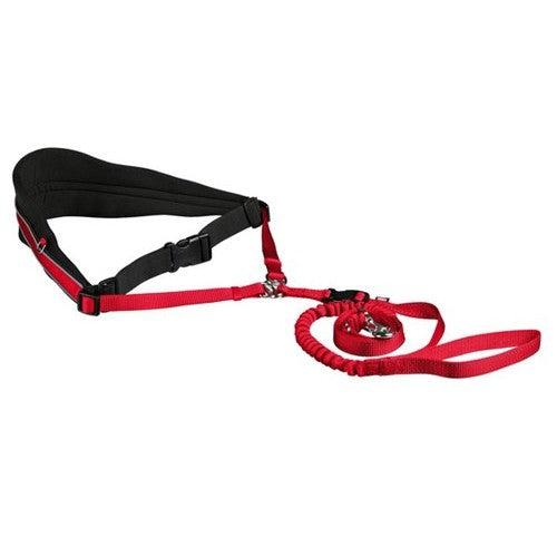 Ceinture ventrale avec laisse