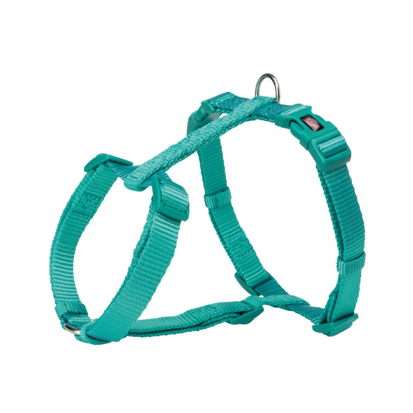 Harnais Premium - Bleu Turquoise