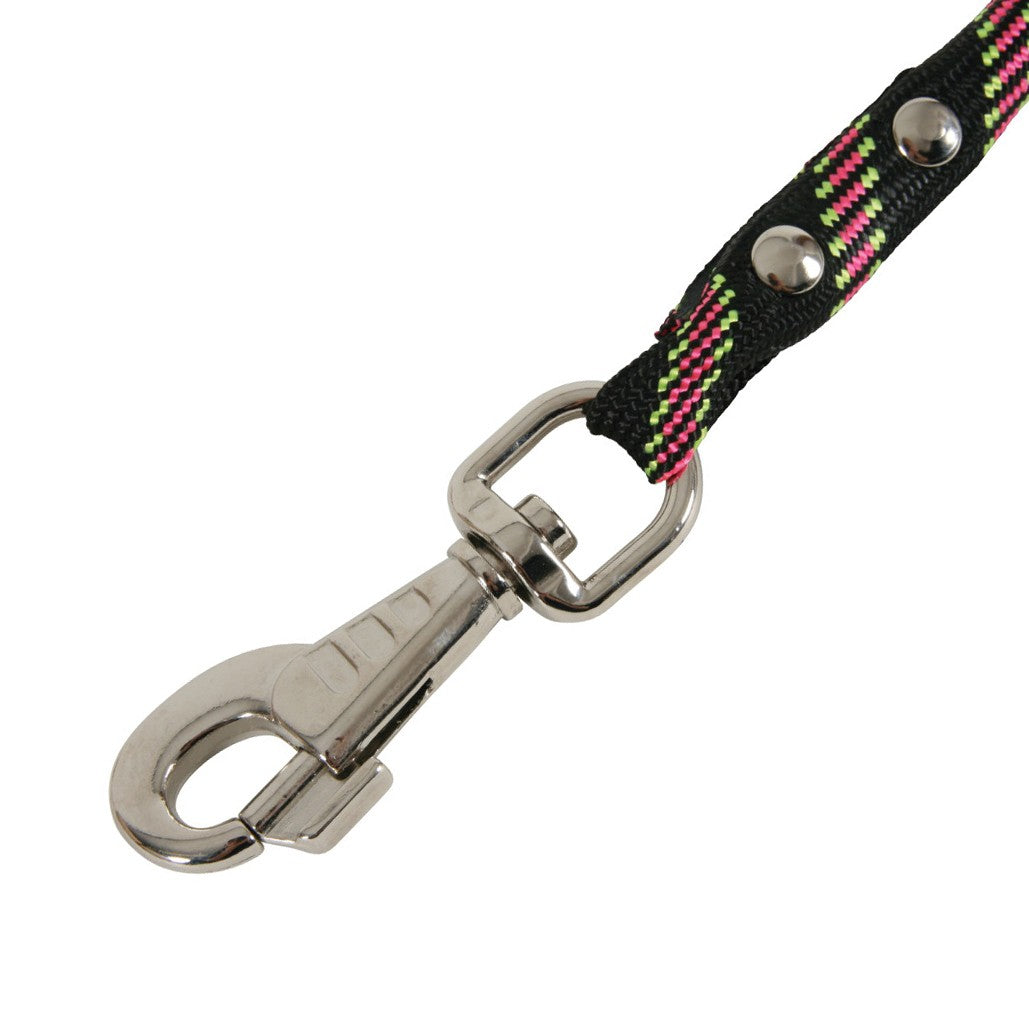 Laisse corde Nylon