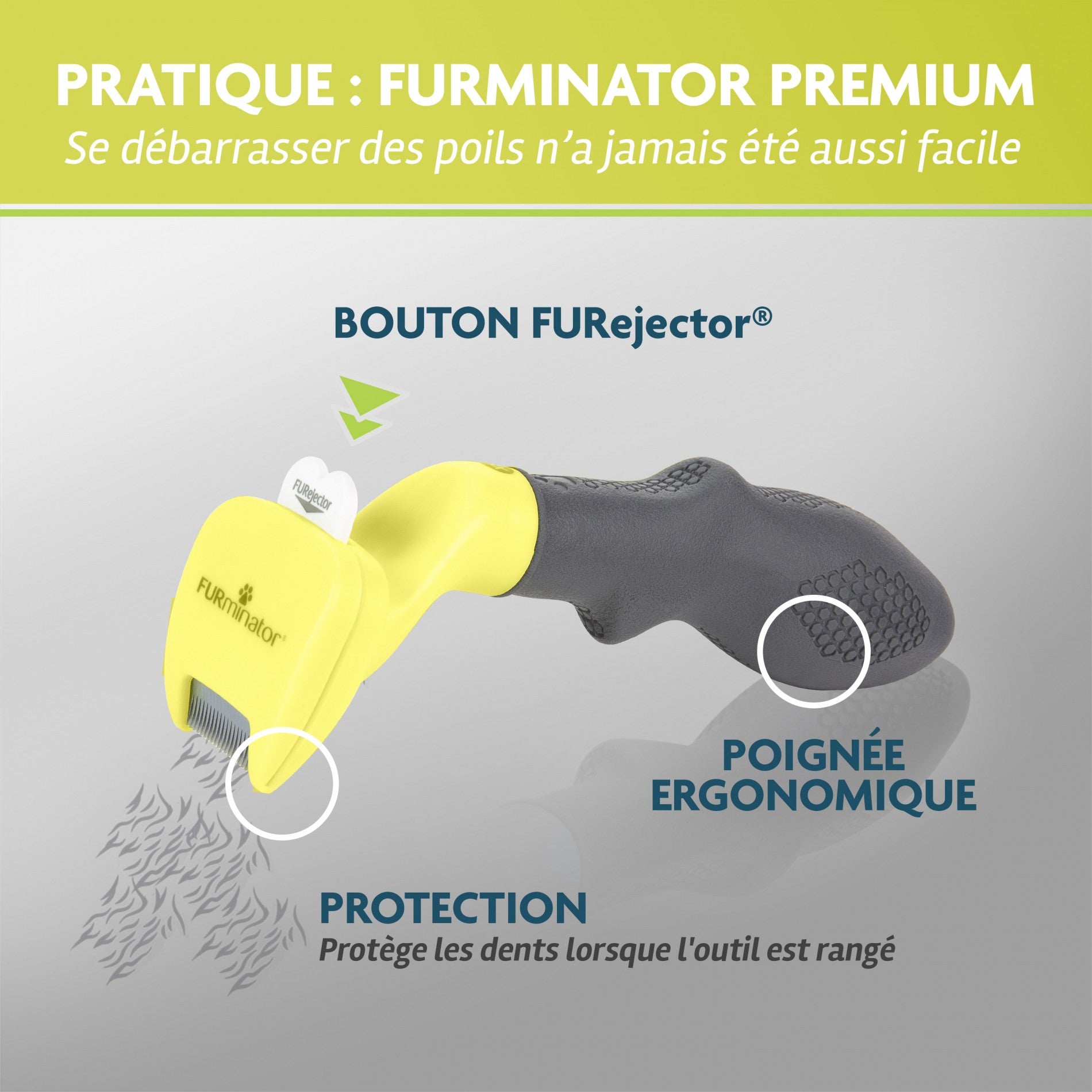 Brosse Furminator poils courts