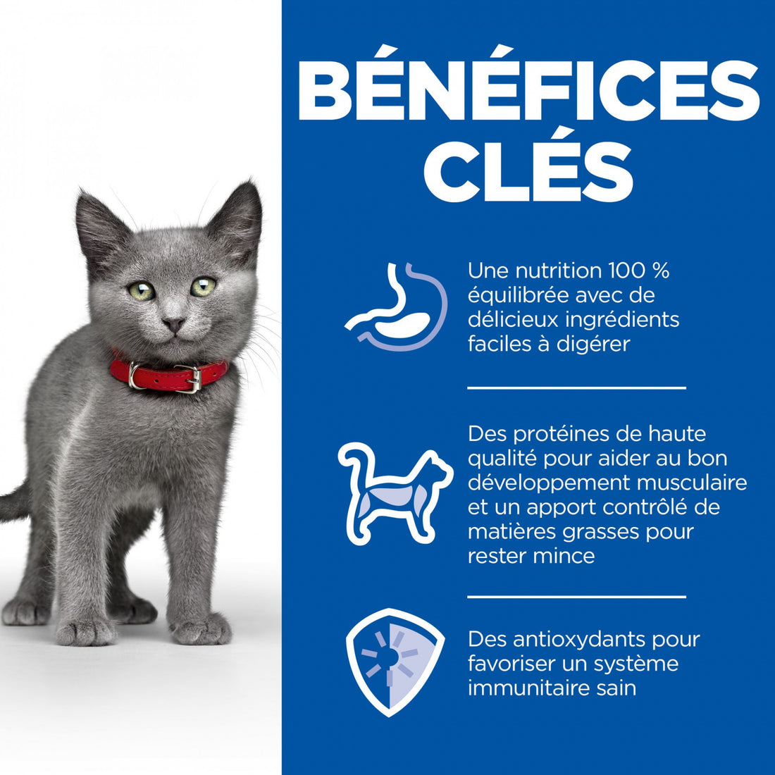 HILL’S Science Plan Sterilised Kitten au Poulet – Croquettes pour chaton