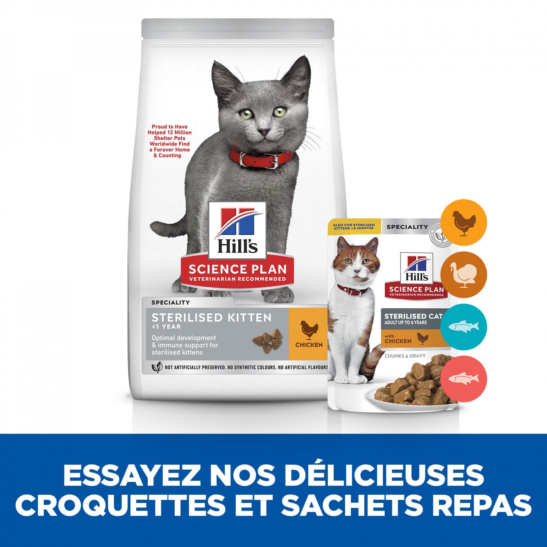 HILL’S Science Plan Sterilised Kitten au Poulet – Croquettes pour chaton