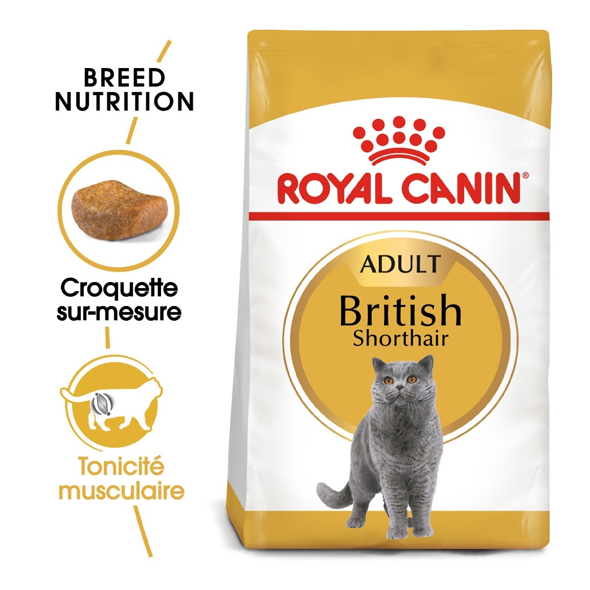 Royal Canin British Shorthair Adult
