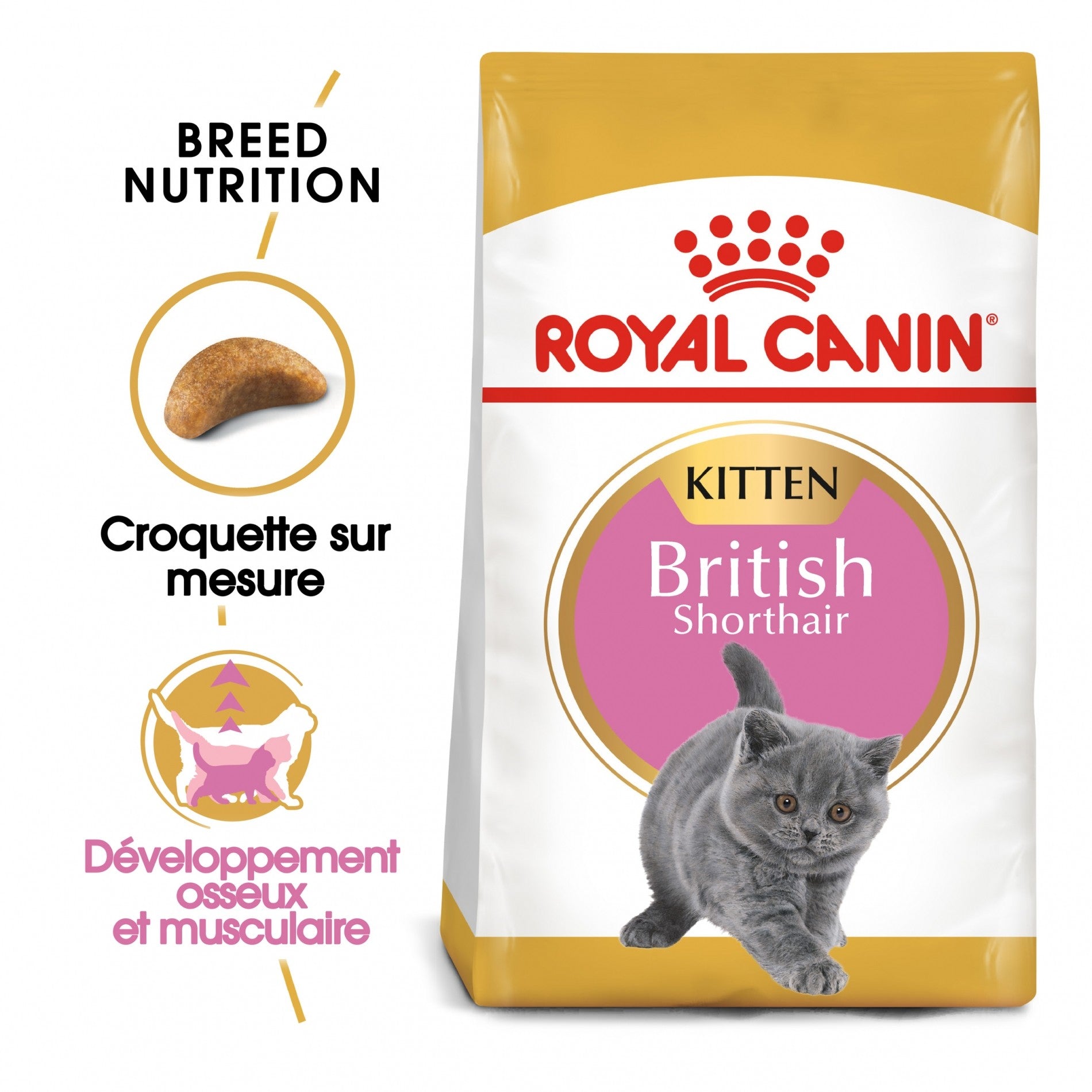 Royal Canin British Shorthair Kitten
