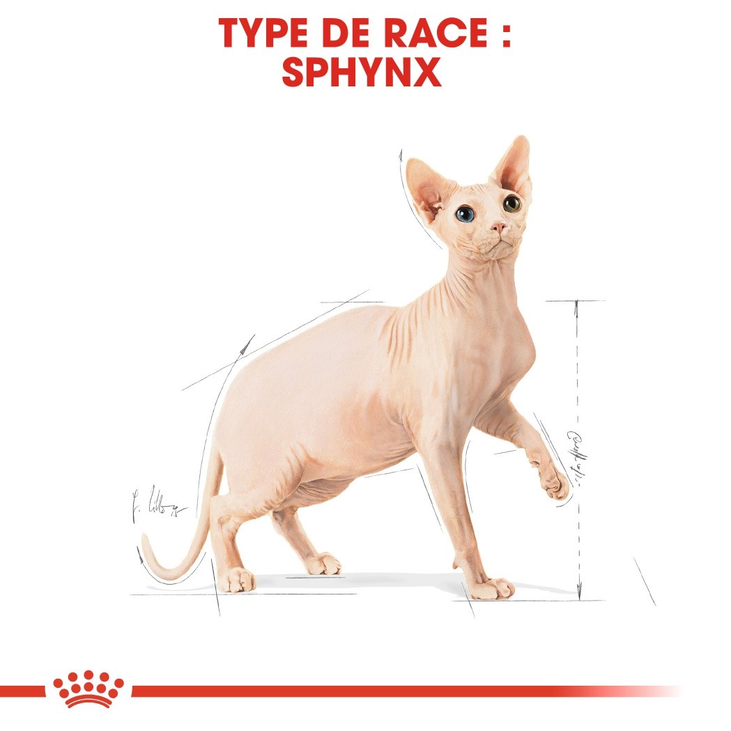 Royal Canin Sphynx Adult