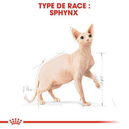 Royal Canin Sphynx Adult