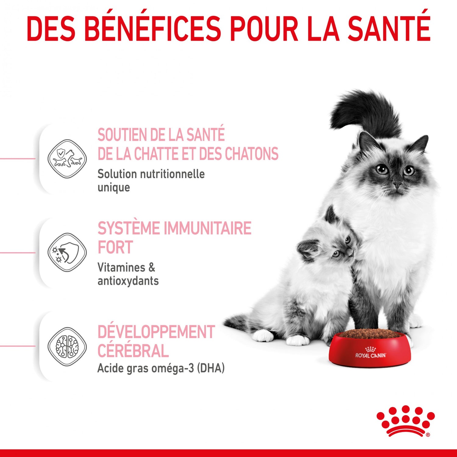 ROYAL CANIN Mother &amp; BabyCat - Croquettes pour chatte et chaton