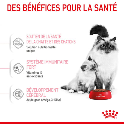 ROYAL CANIN Mother &amp; BabyCat - Croquettes pour chatte et chaton