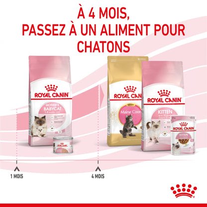 ROYAL CANIN Mother &amp; BabyCat - Croquettes pour chatte et chaton