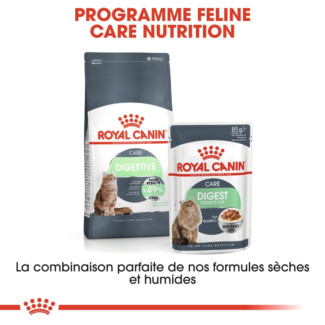 ROYAL CANIN Digestive Care – Croquettes pour chat
