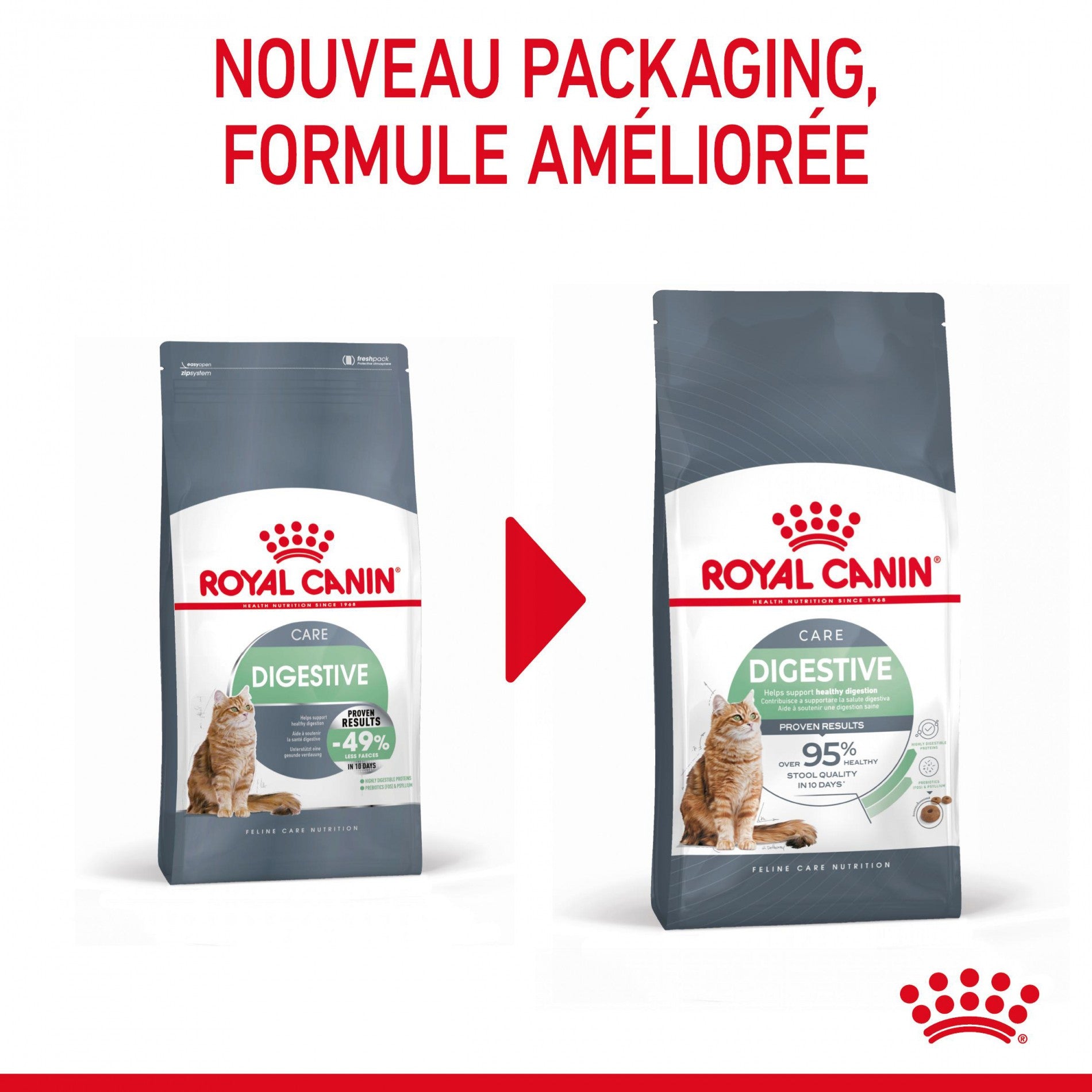 ROYAL CANIN Digestive Care – Croquettes pour chat