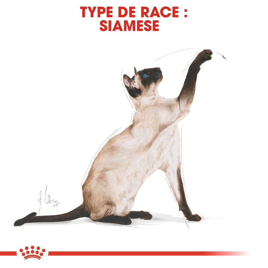 Royal Canin Siamois Adult