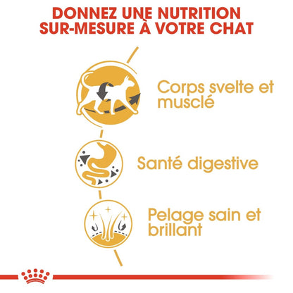 Royal Canin Siamois Adult