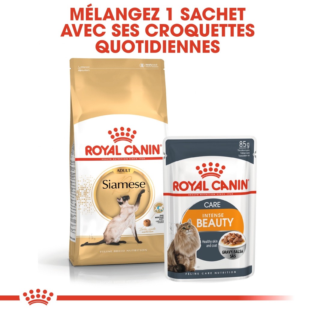 Royal Canin Siamois Adult