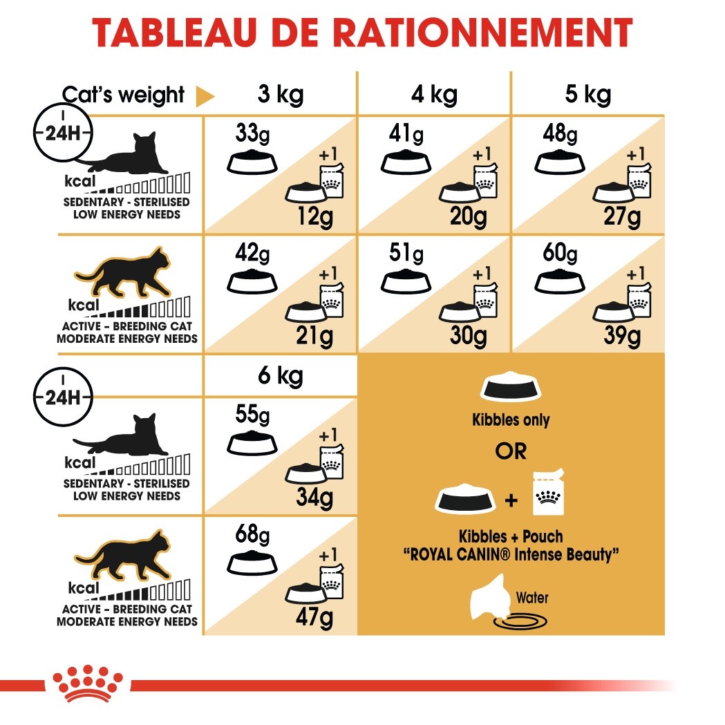 Royal Canin Siamois Adult