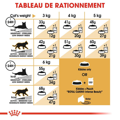 Royal Canin Siamois Adult