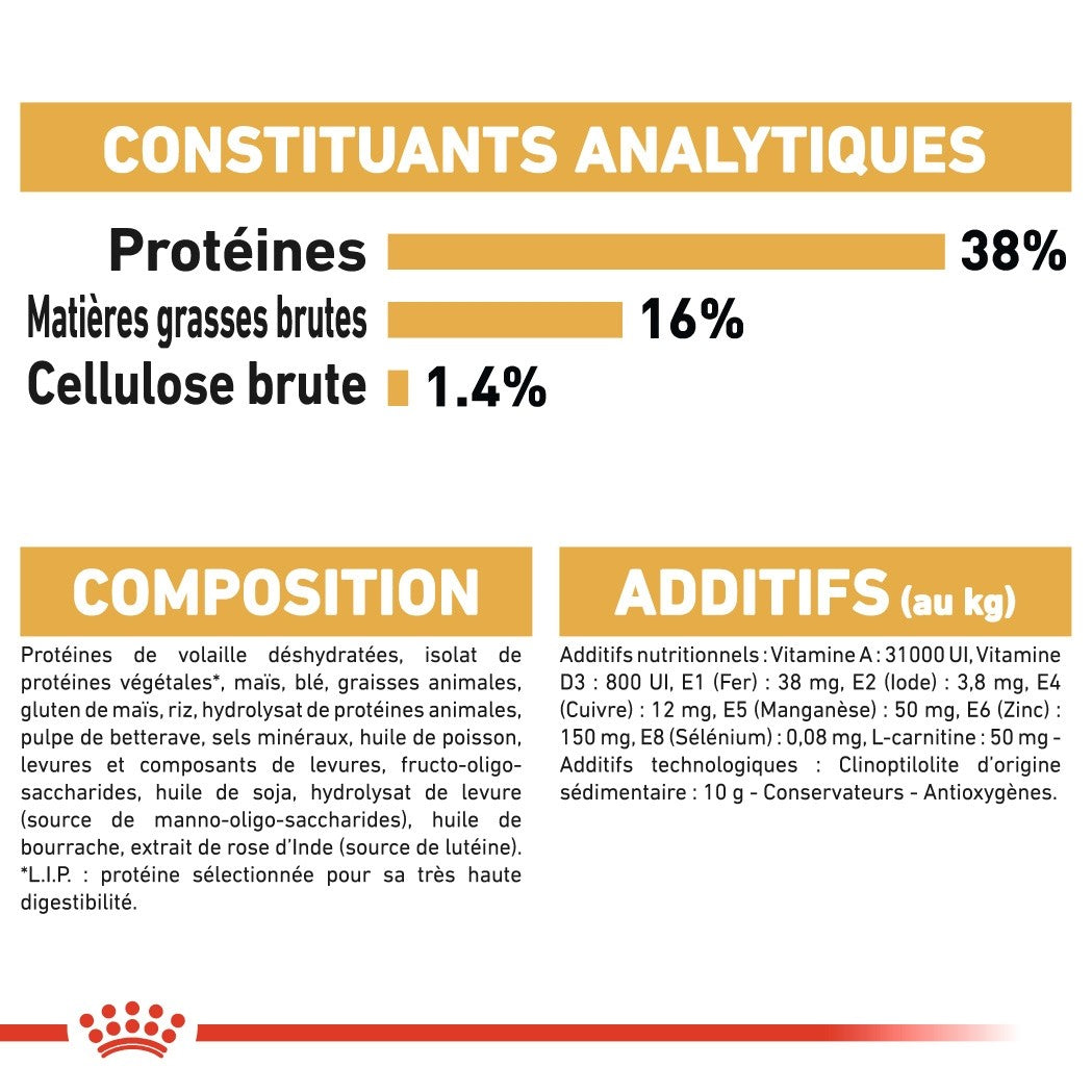 Royal Canin Siamois Adult