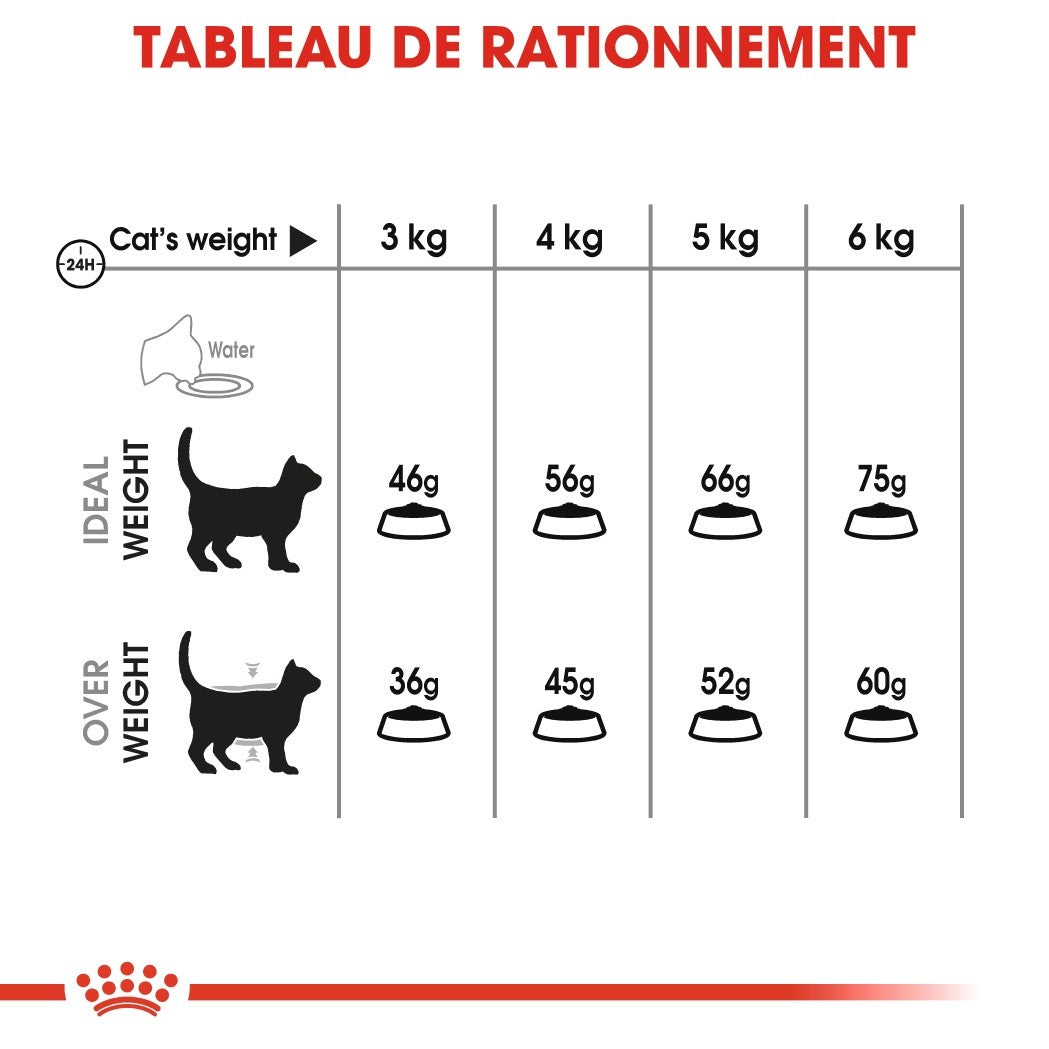 Royal Canin Oral Care