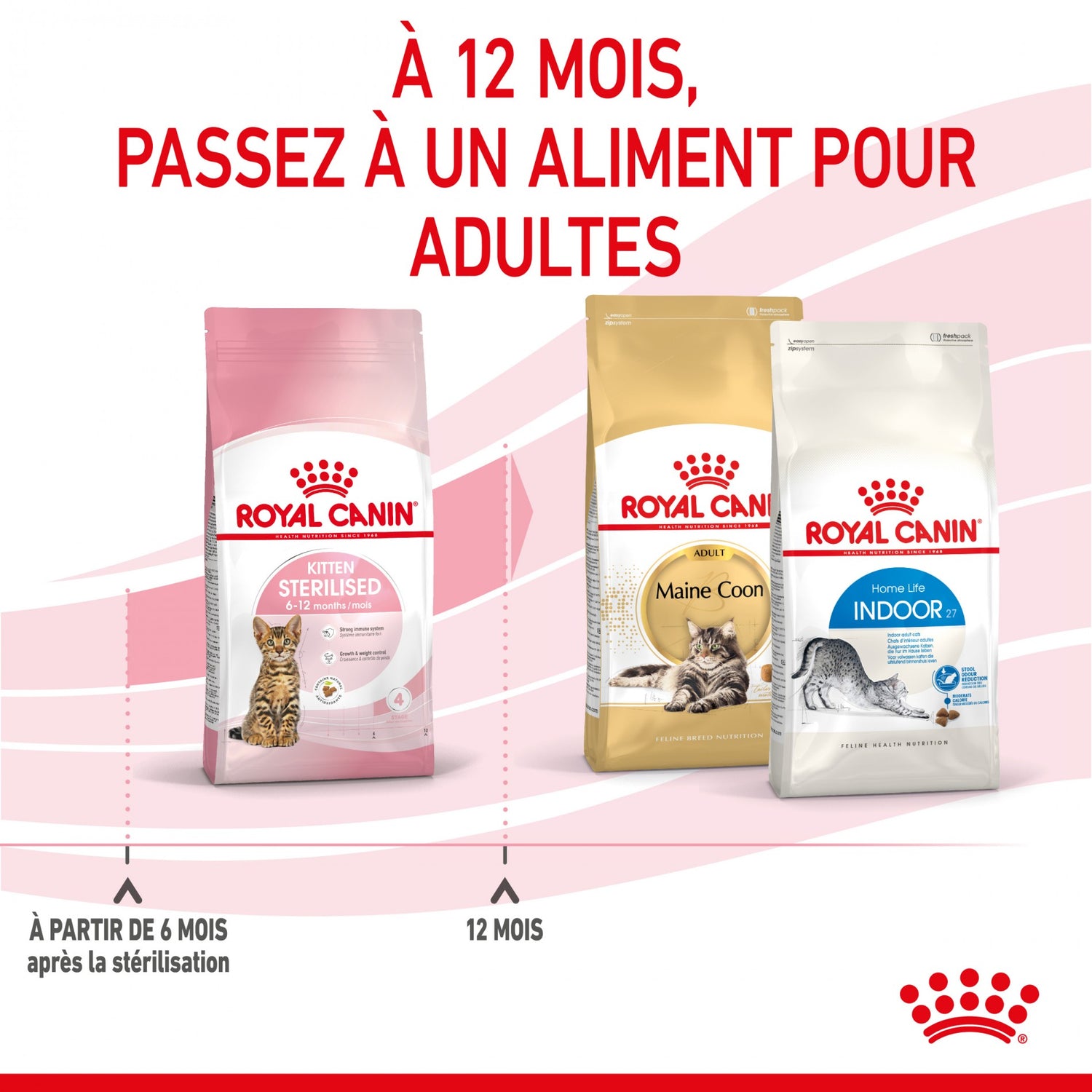 Royal Canin Kitten Sterilised
