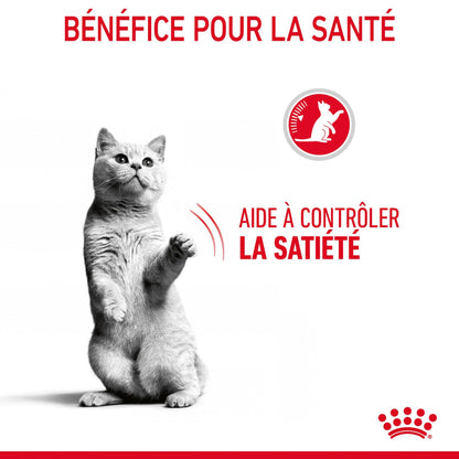 ROYAL CANIN Appetite Control Care - Croquettes pour chat