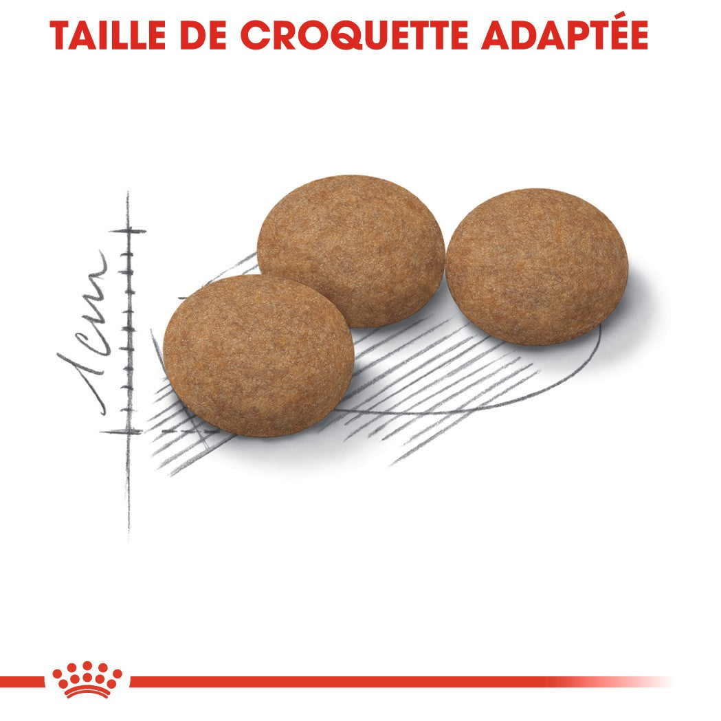 Royal Canin Ageing Sterilised 12+