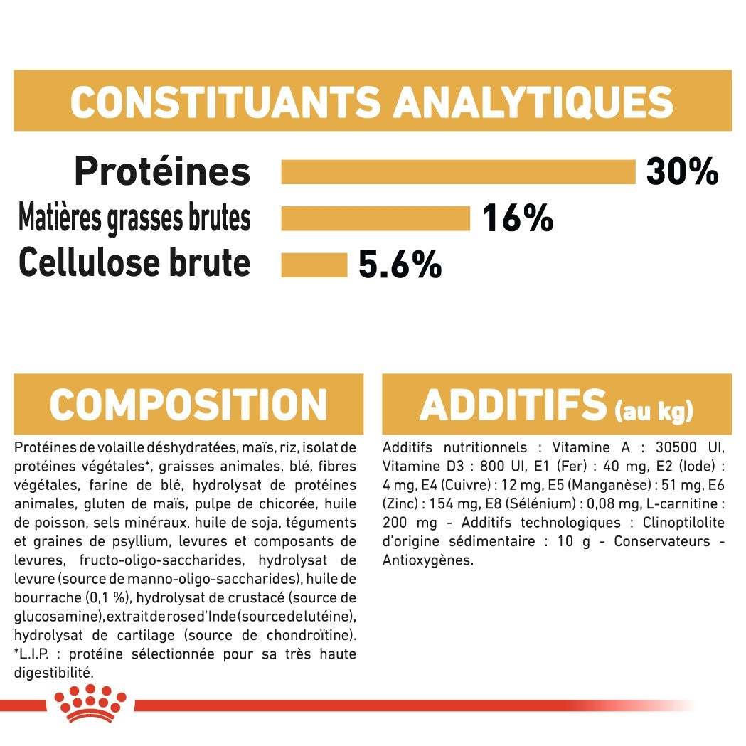 Royal Canin Norvégien Adult 10KG
