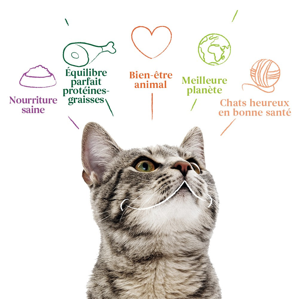 Yarrah croquettes bio pour chat adulte