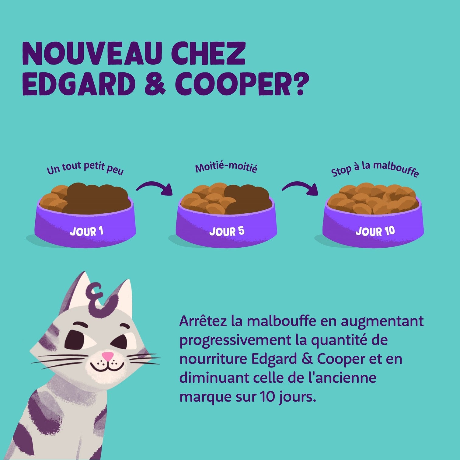 Edgard &amp; Cooper Pâtée Moelleuse Édition Festive – Pâtée pour chat adulte