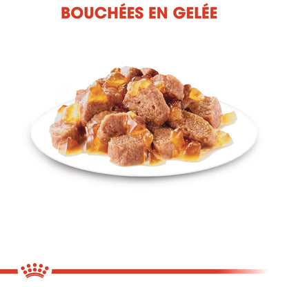Royal Canin Instinctive - Pâtée pour chat