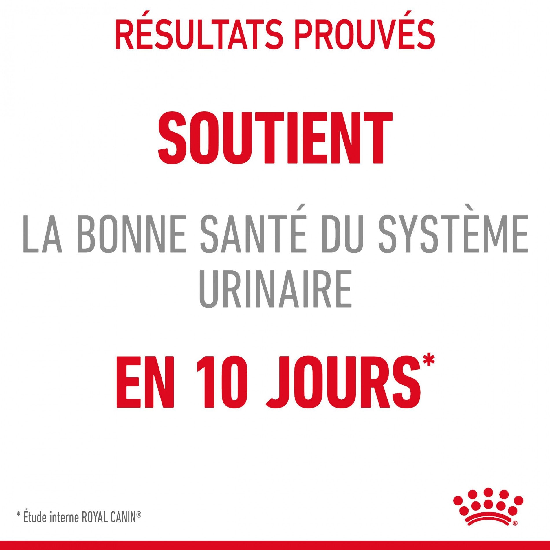 ROYAL CANIN Urinary Care en sauce - Pâtée pour chat