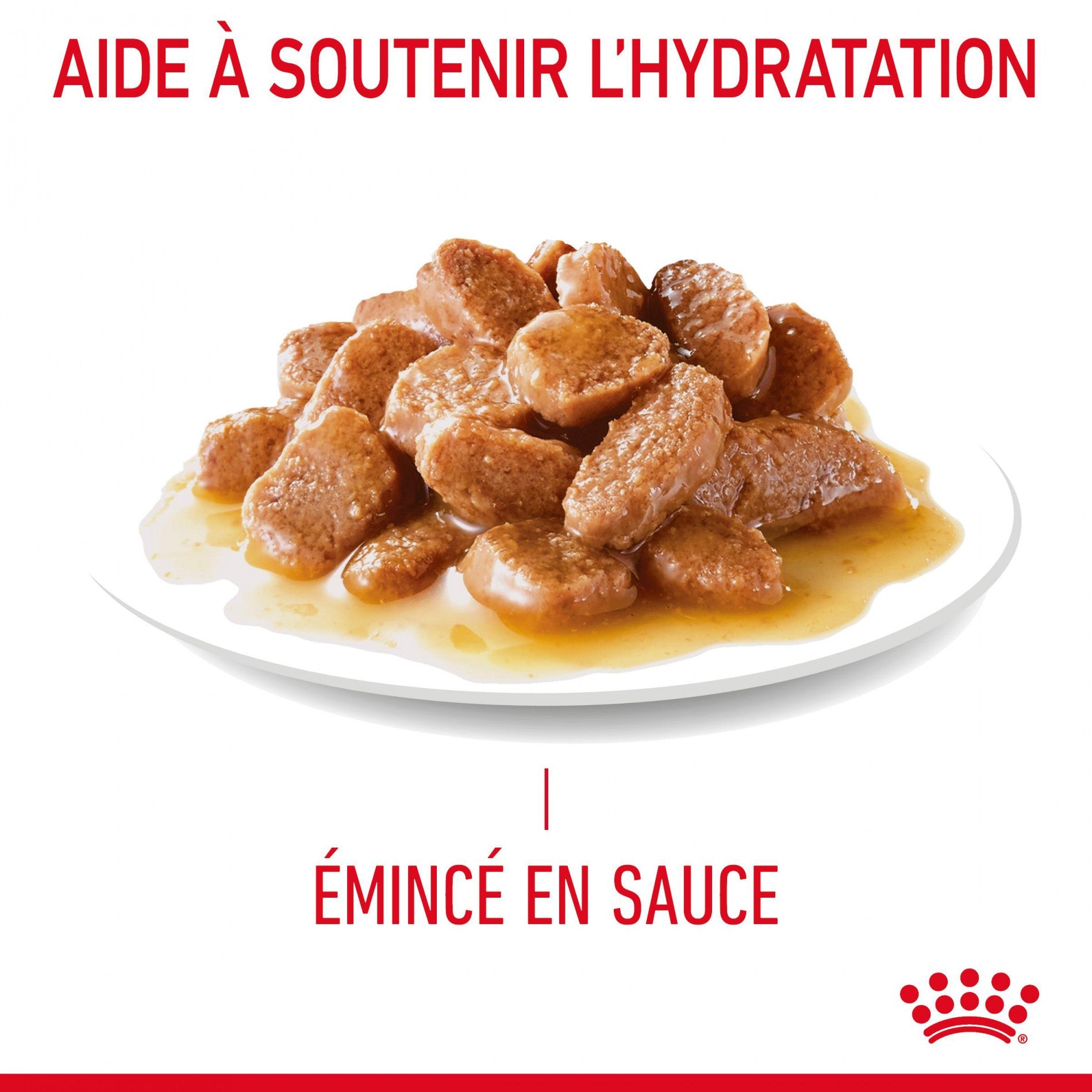 ROYAL CANIN Urinary Care en sauce - Pâtée pour chat